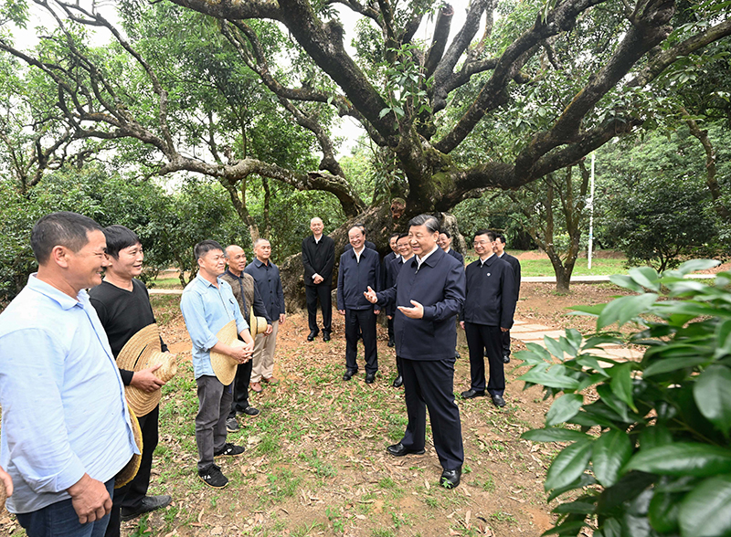 九游老哥J9俱乐部官网 - J9俱乐部老哥交流社区
