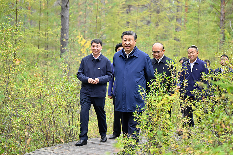 9月6日至8日，中共中央总书记、国家主席、中央军委主席习近平在黑龙江考察。这是6日下午，习近平在大兴安岭地区漠河市漠河林场自然林区考察